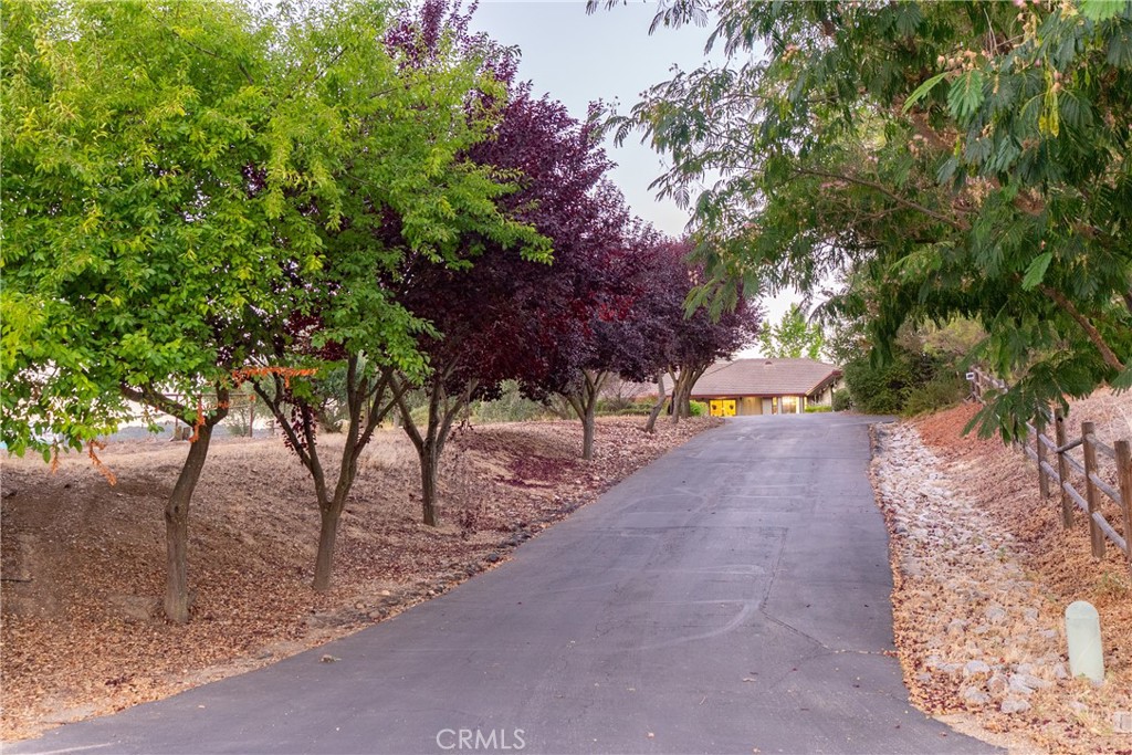 1380 Shane Property Photo 74
