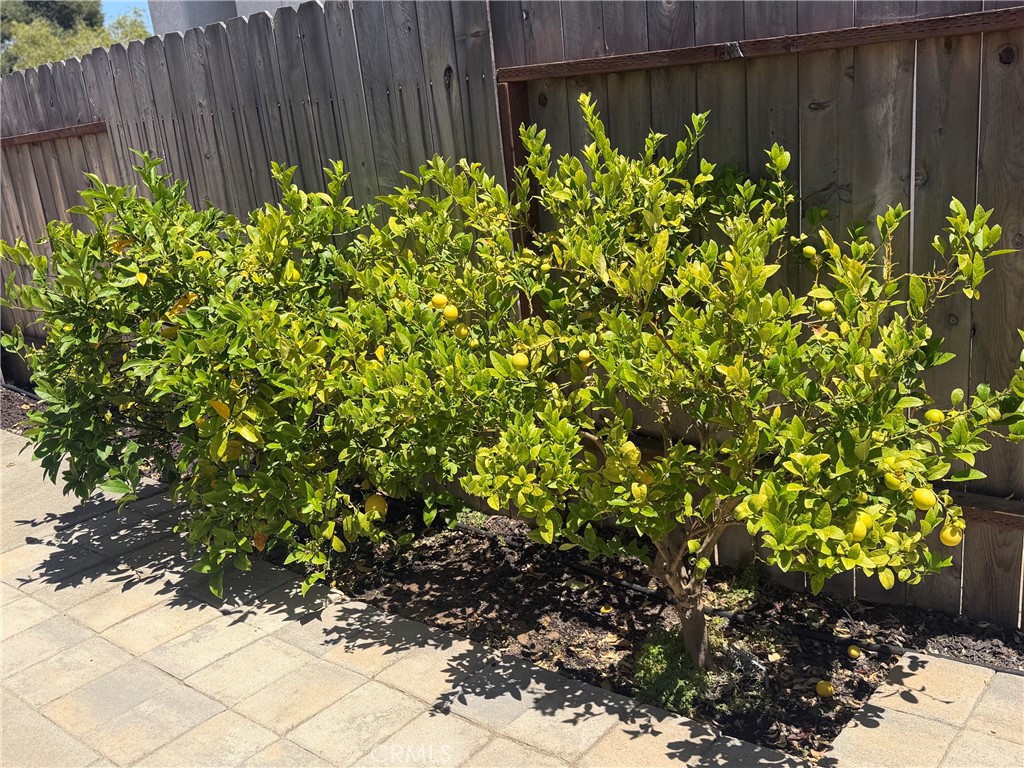 148 Galaxy Property Photo 41