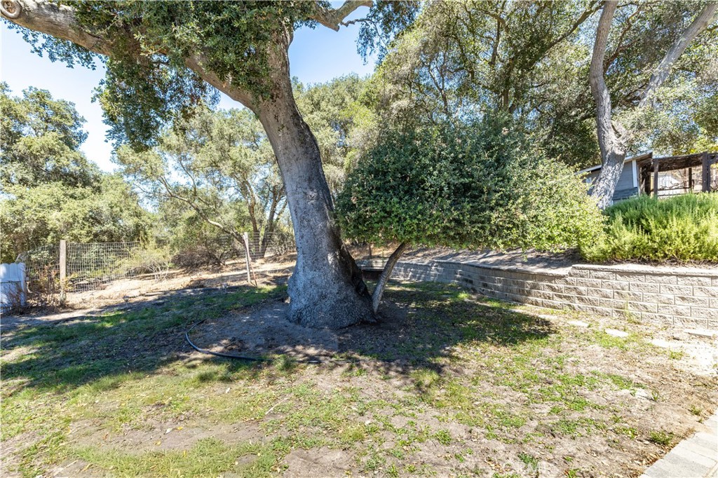 4555 San Anselmo Property Photo 31