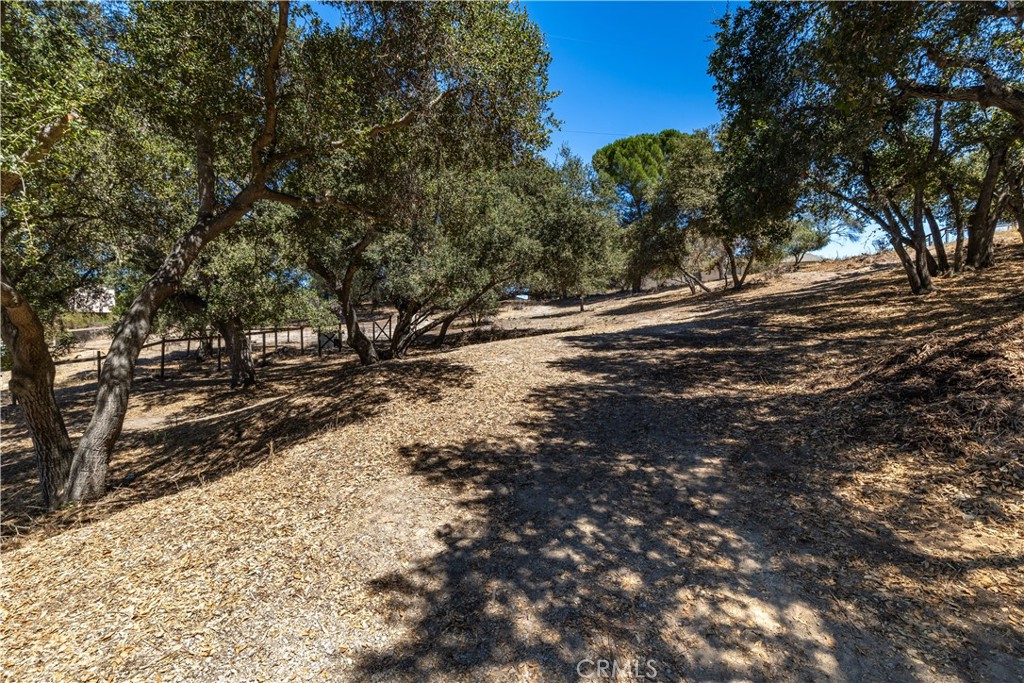 4555 San Anselmo Property Photo 42