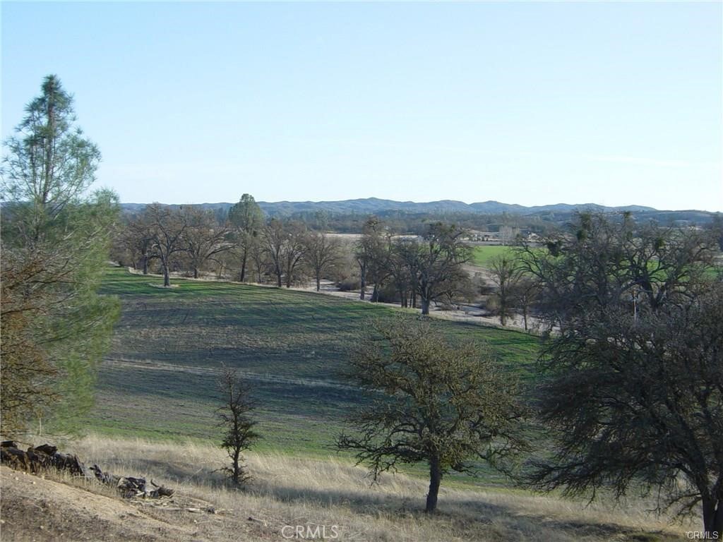6675 Webster Road Property Photo 3