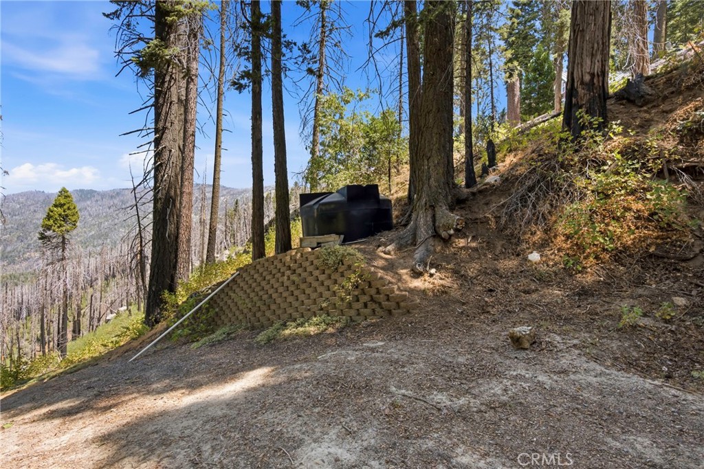 48663 Benson Trail Property Photo 41
