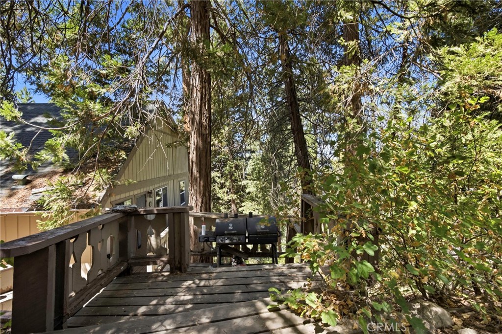 48663 Benson Trail Property Photo 43