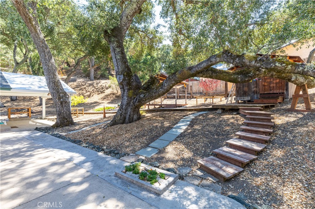 7300 Bella Vista Property Photo 49