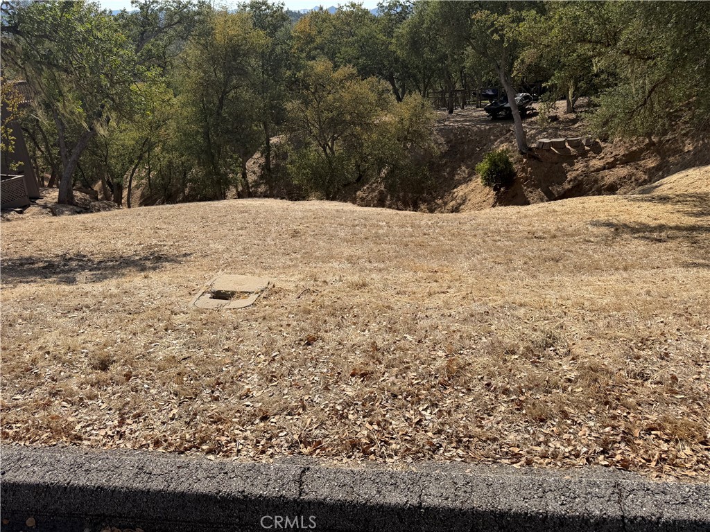 2517 Captains Walk Property Photo 3