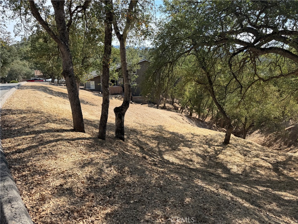 2517 Captains Walk Property Photo 4
