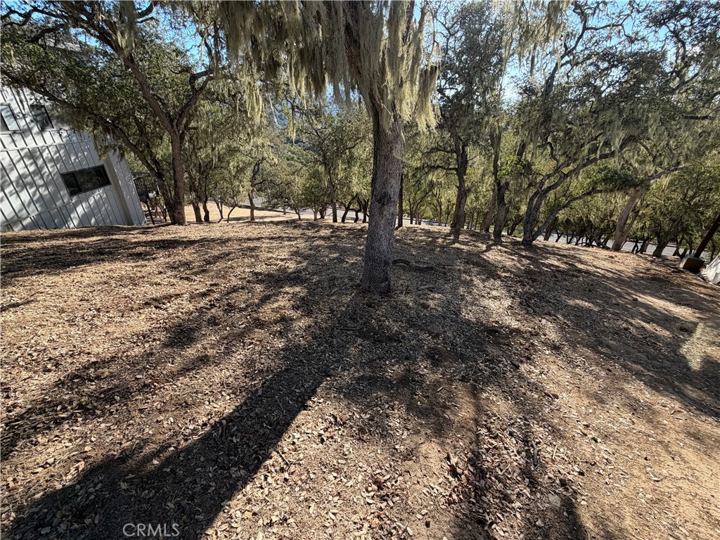 2171 Ridge Rider Road Property Photo 5