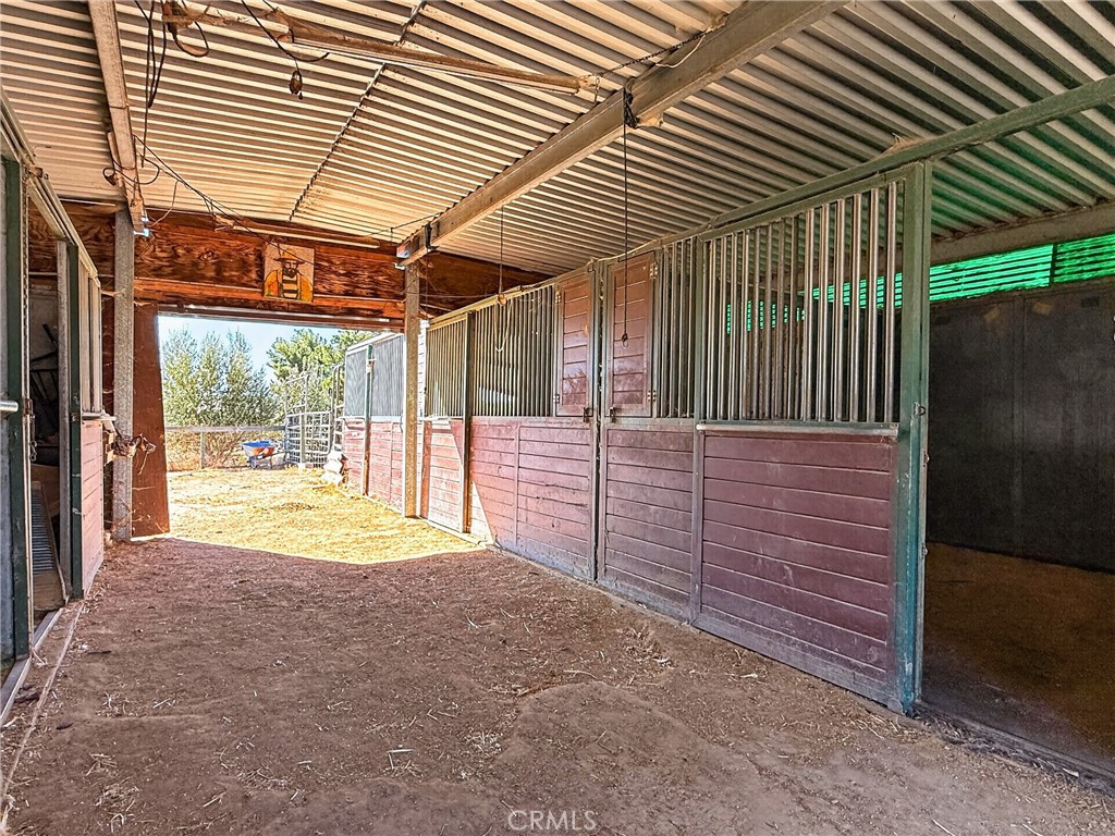 5642 Prancing Deer Property Photo 36