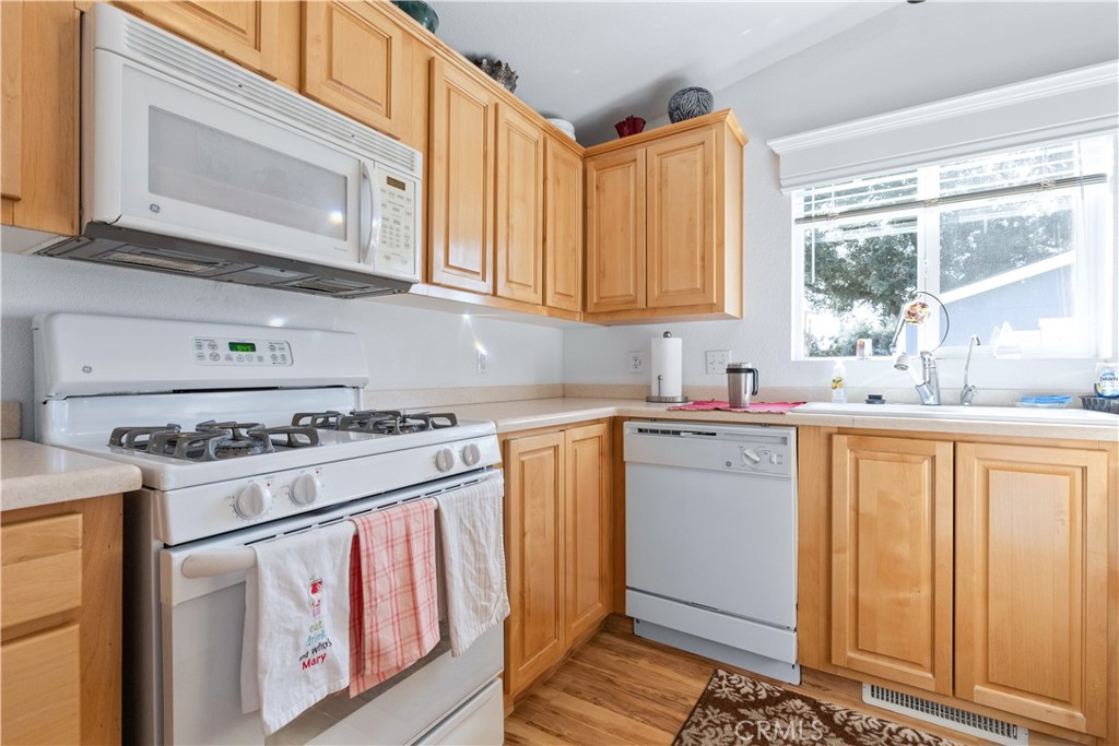1256 Camino Del Roble 41 Property Photo 12