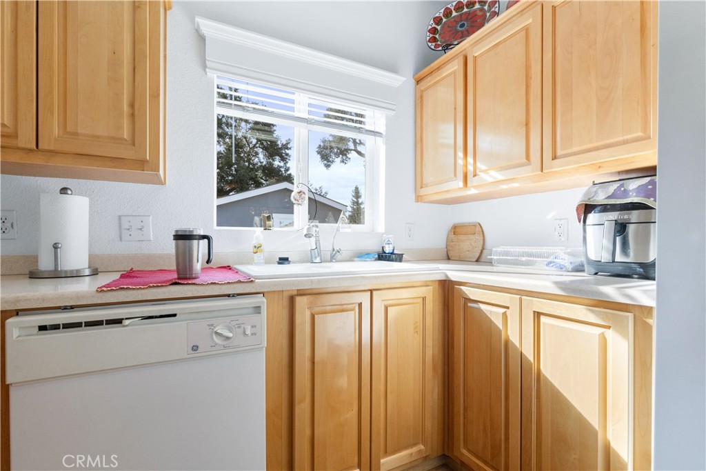 1256 Camino Del Roble 41 Property Photo 13