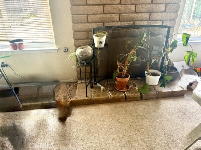 1108 Nanette Property Photo 4