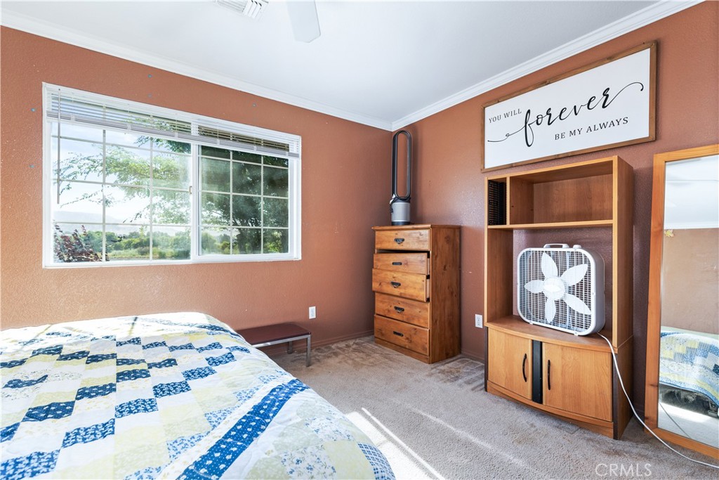 62251 Rico Property Photo 18