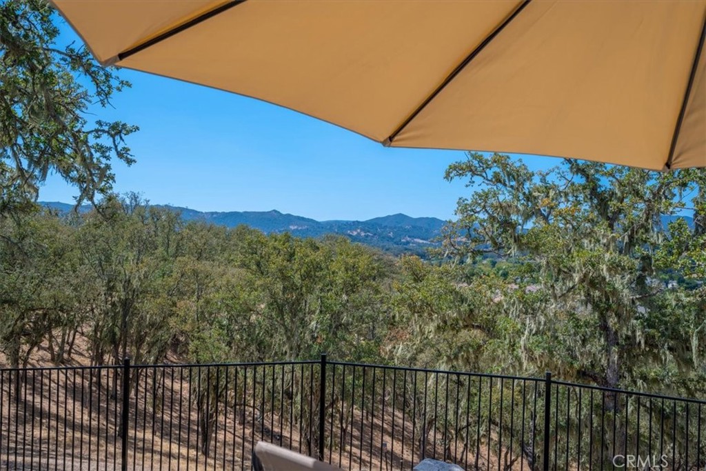 9350 Via Cielo Property Photo 66