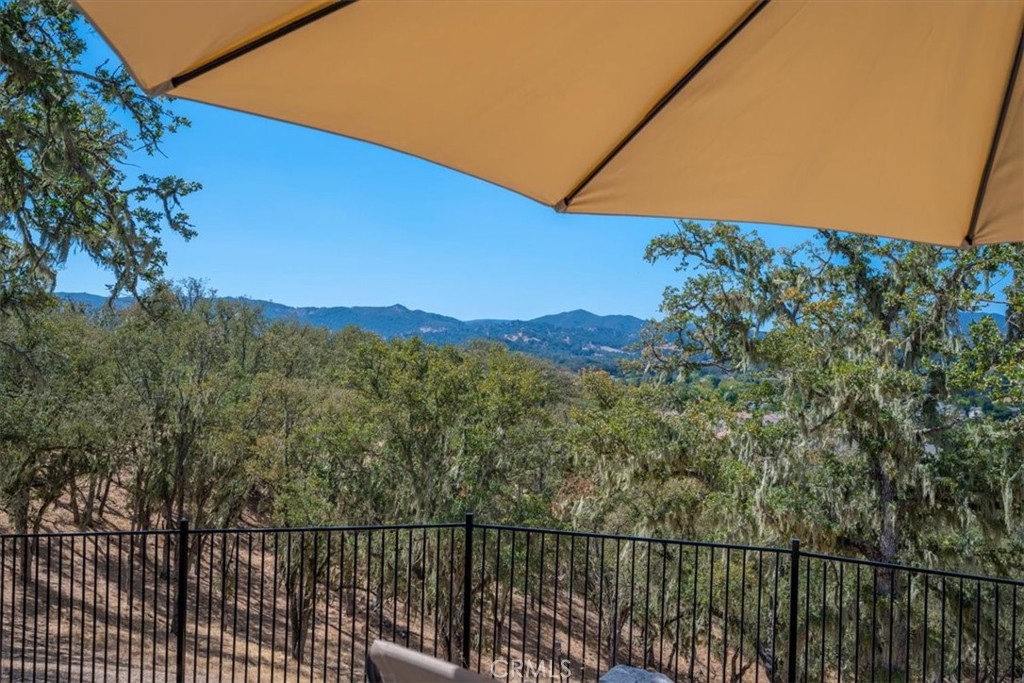 9350 Via Cielo Property Photo 67