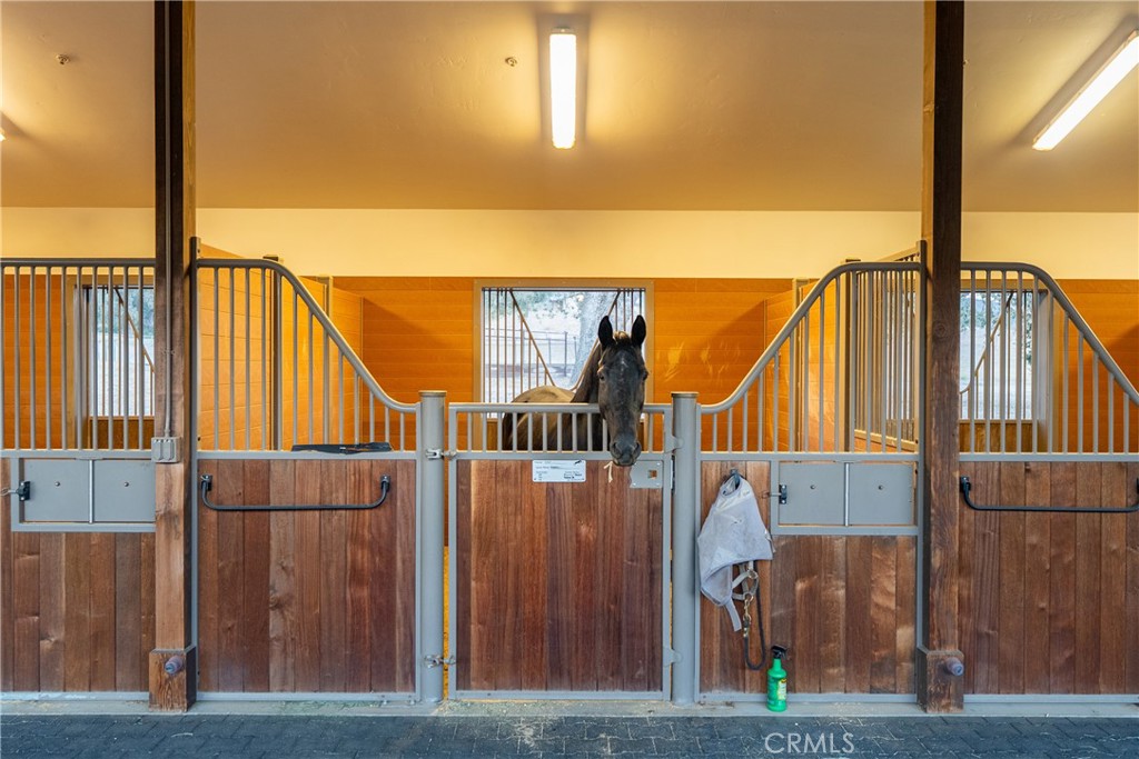 10530 La Ranchita Property Photo 11