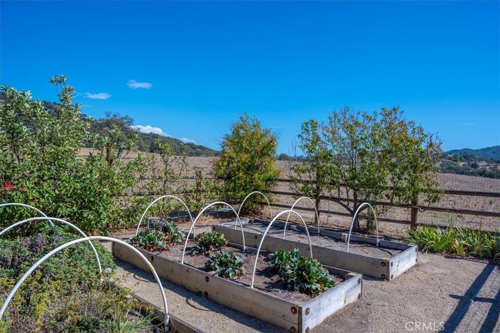 10530 La Ranchita Property Photo 40