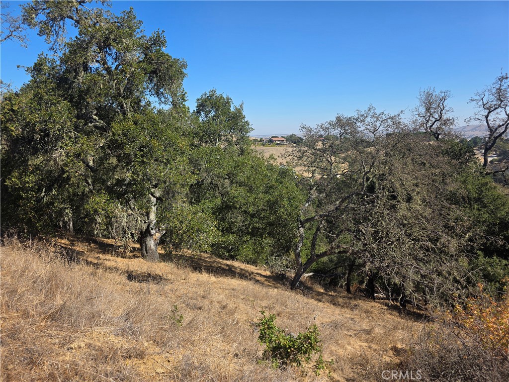 12350 Santa Ana Property Photo 1