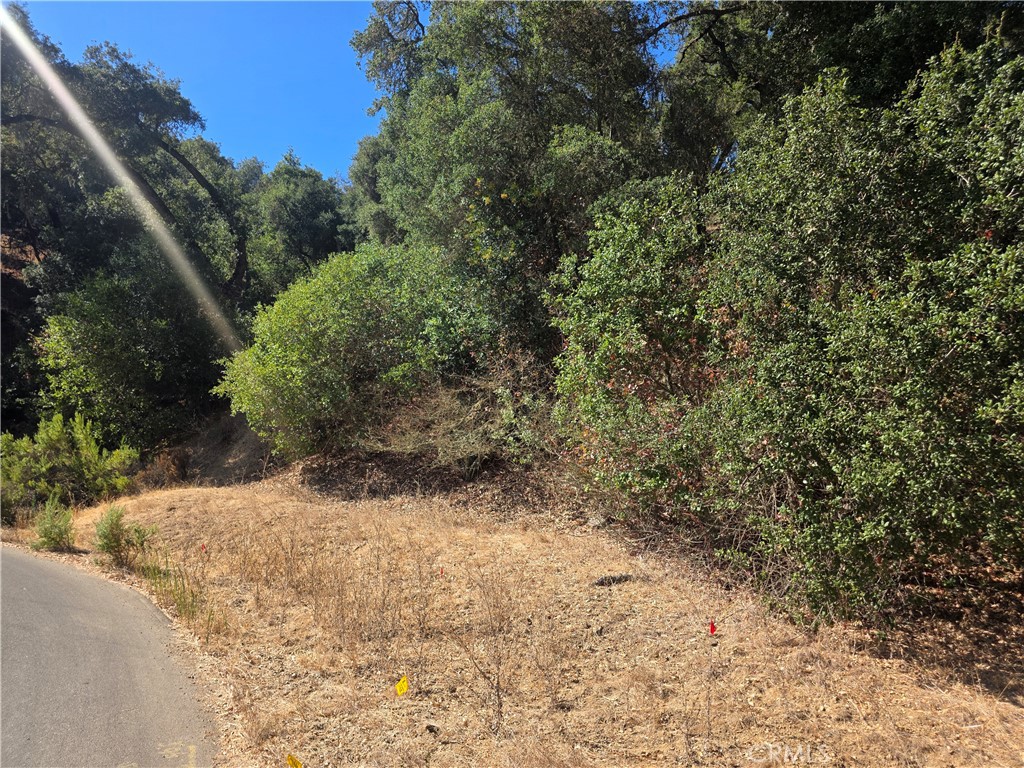 12350 Santa Ana Property Photo 4