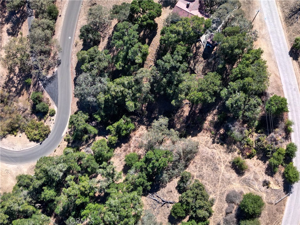 12350 Santa Ana Property Photo 9