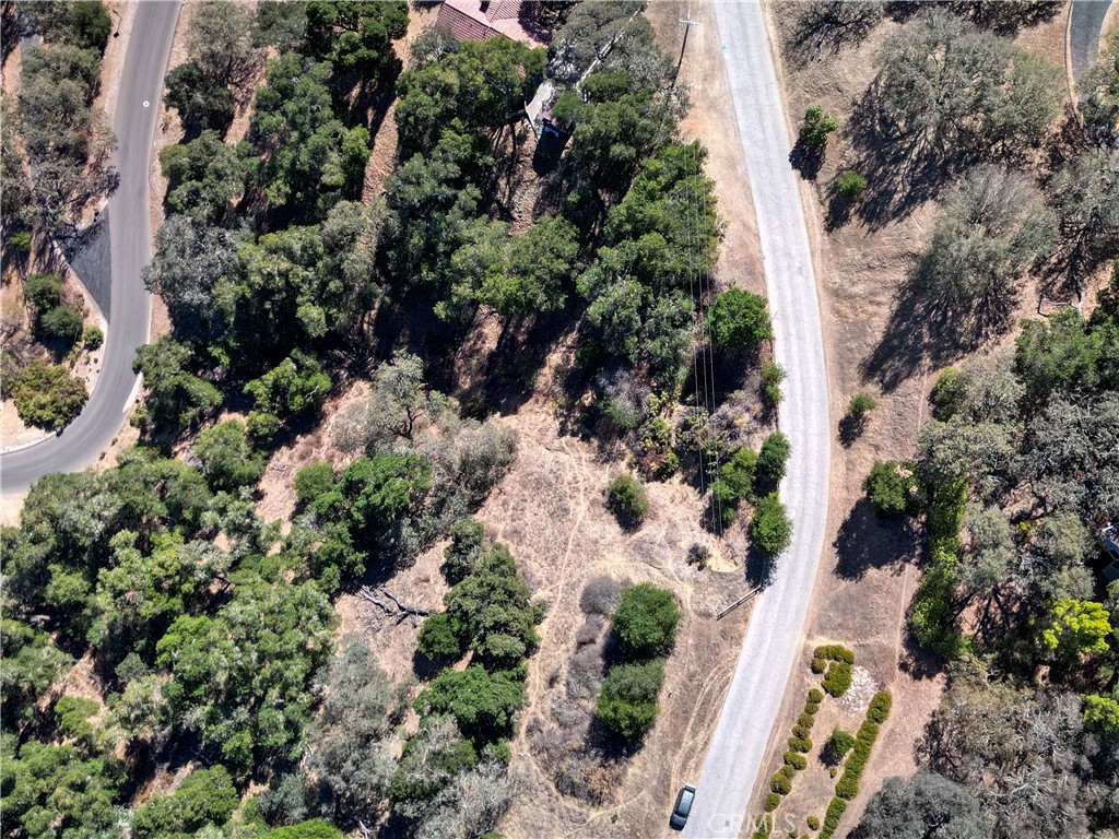 12350 Santa Ana Property Photo 12