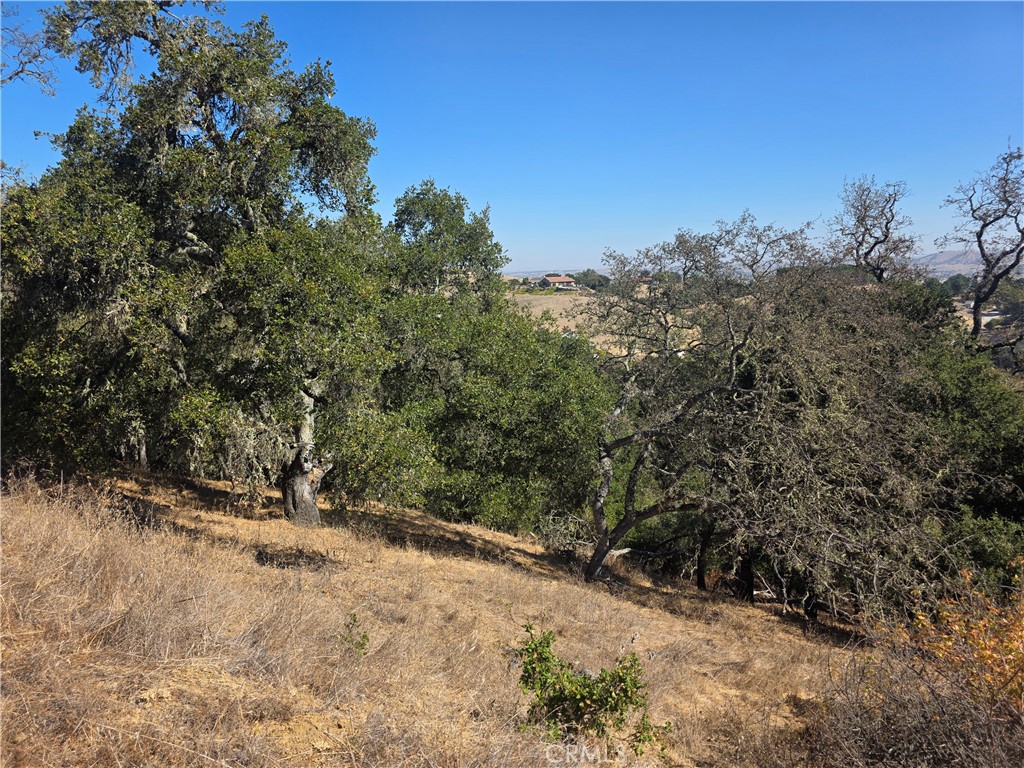 12400 Santa Ana Property Photo 1