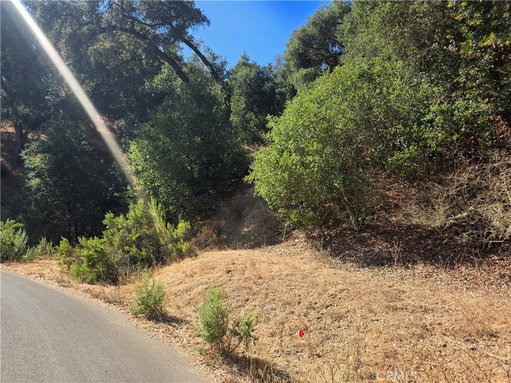 12400 Santa Ana Property Photo 3