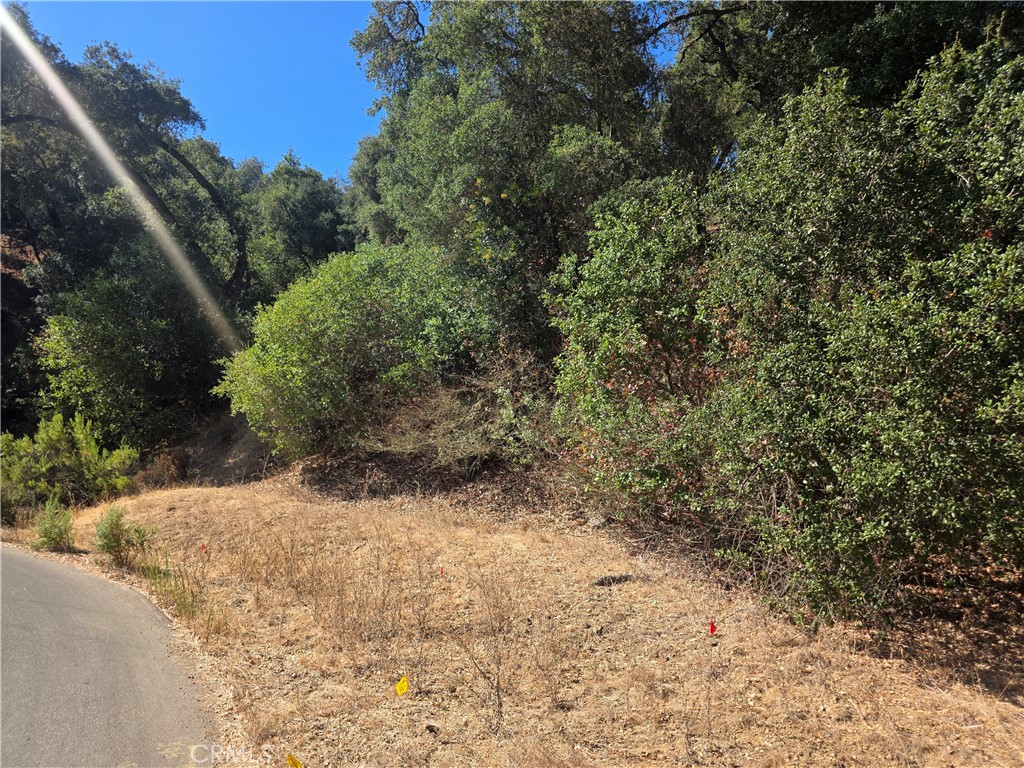 12400 Santa Ana Property Photo 4