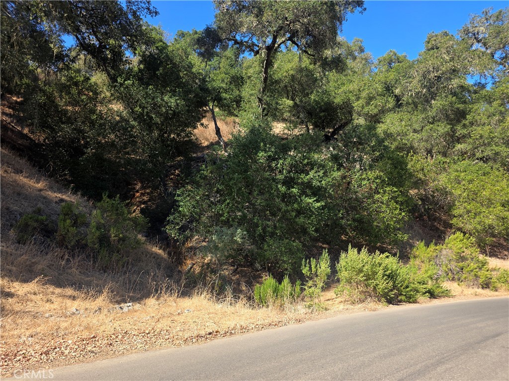 12400 Santa Ana Property Photo 5