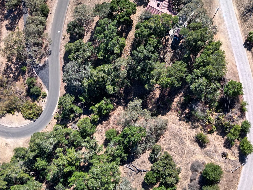 12400 Santa Ana Property Photo 9
