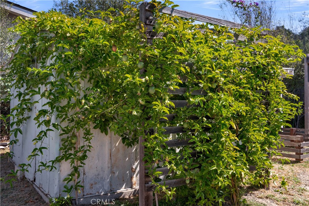 280 Tally Ho Property Photo 36