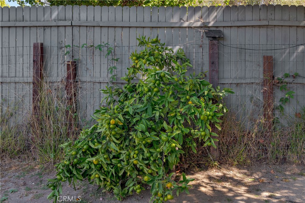 280 Tally Ho Property Photo 37