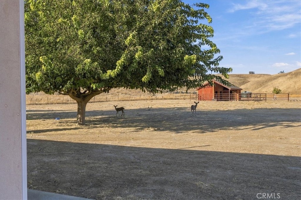 76846 Ranchita Canyon Property Photo 36