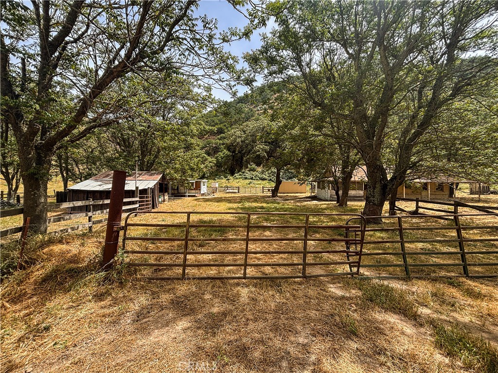 124 Lockwood San Ardo Road Property Photo 12