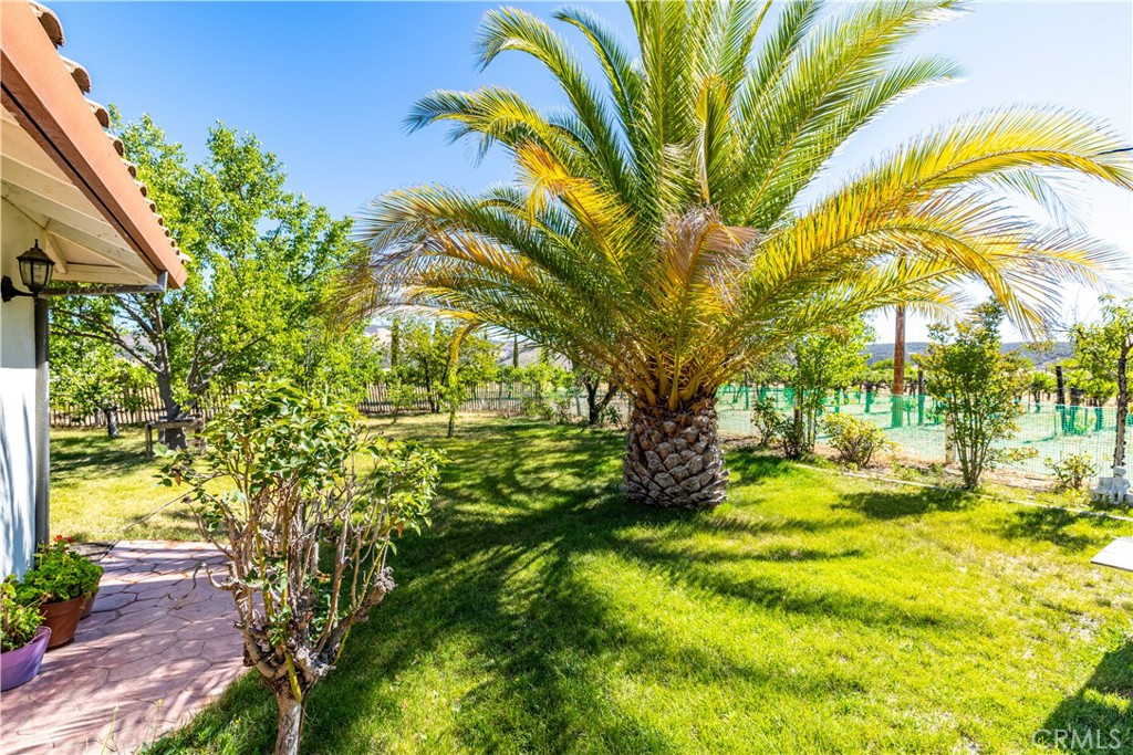 65380 San Lucas Property Photo 37