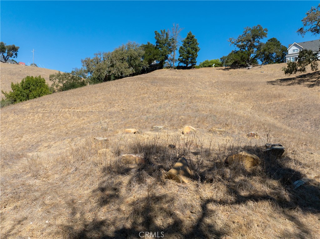 9850 Garcero Property Photo 55