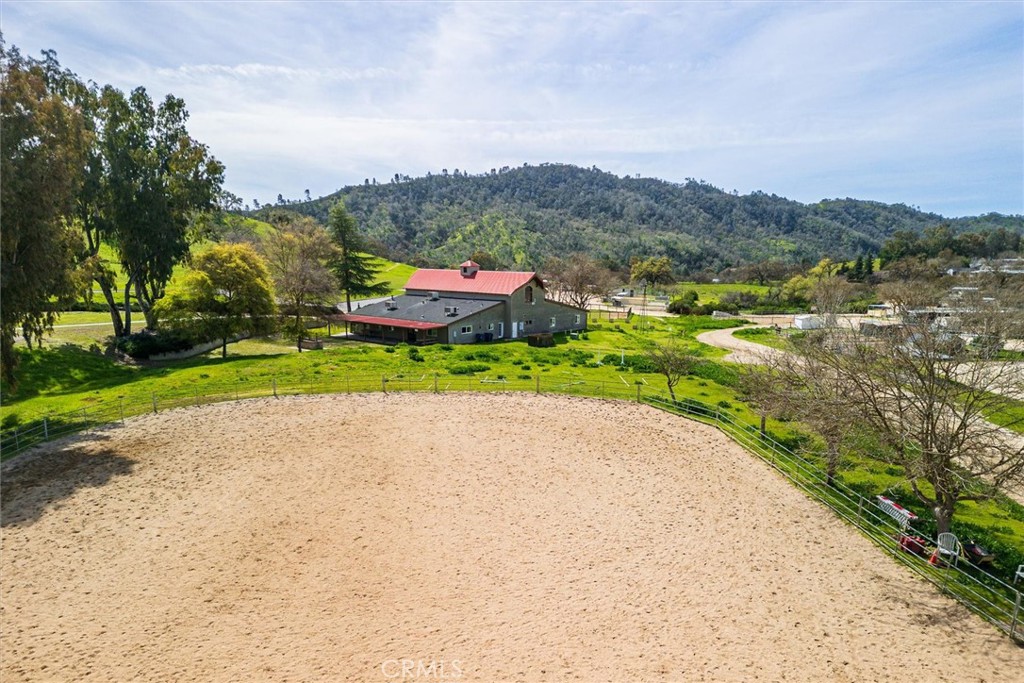 2117 Big Buck Property Photo 56