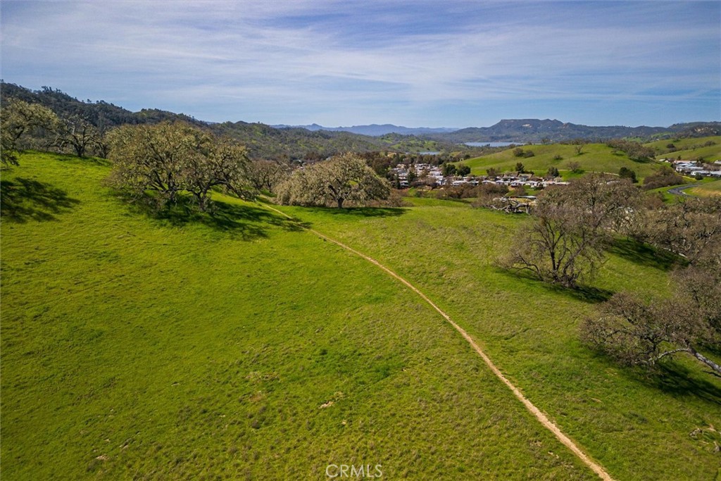 2117 Big Buck Property Photo 61