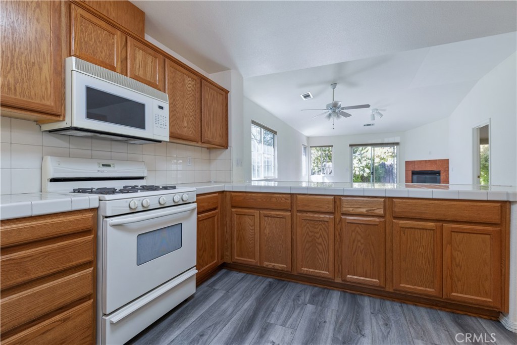 1503 Plumas Court Property Photo 14