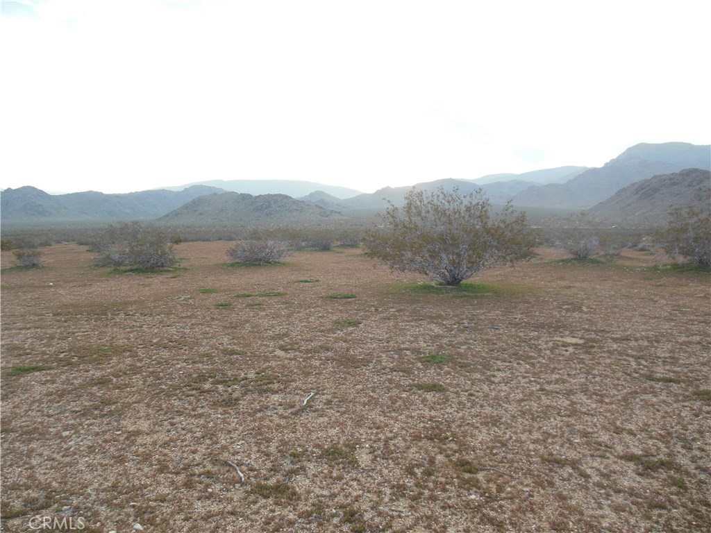 34558 Cattleman Property Photo