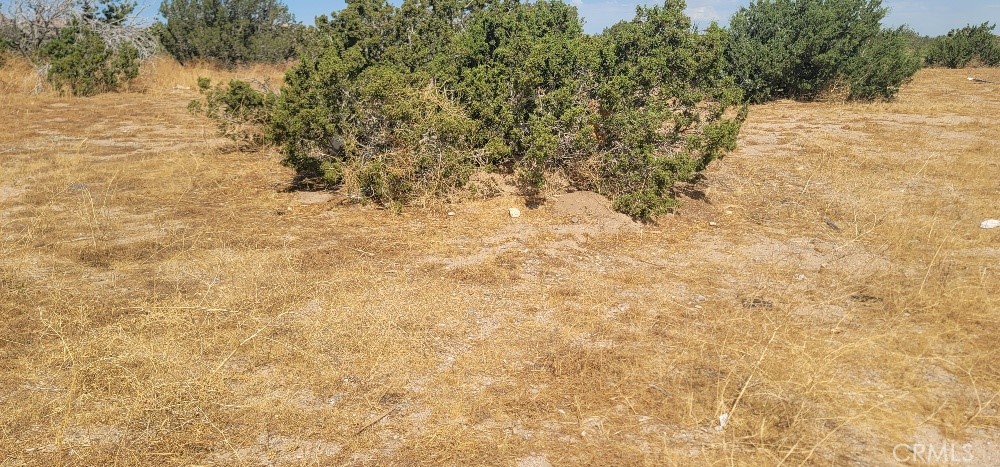 0 Unkn Own Property Photo 2
