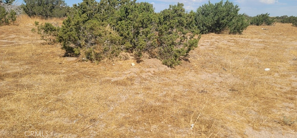0 Unkn Own Property Photo 3