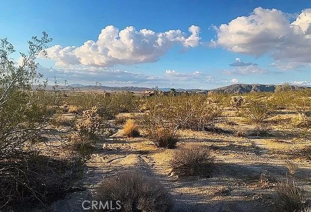 66058 Foothill Drive Property Photo 6