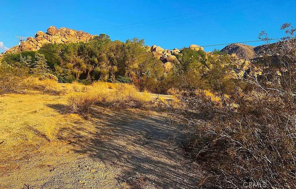 66058 Foothill Drive Property Photo 7