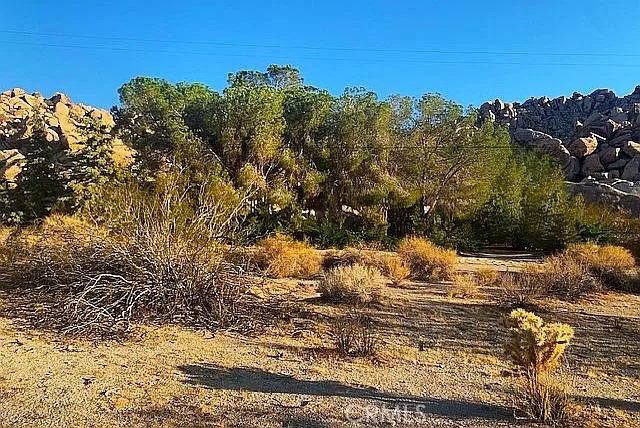 66058 Foothill Drive Property Photo 11