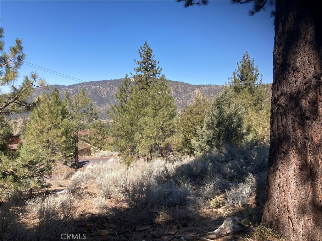 15125 Chestnut Drive Property Photo 3