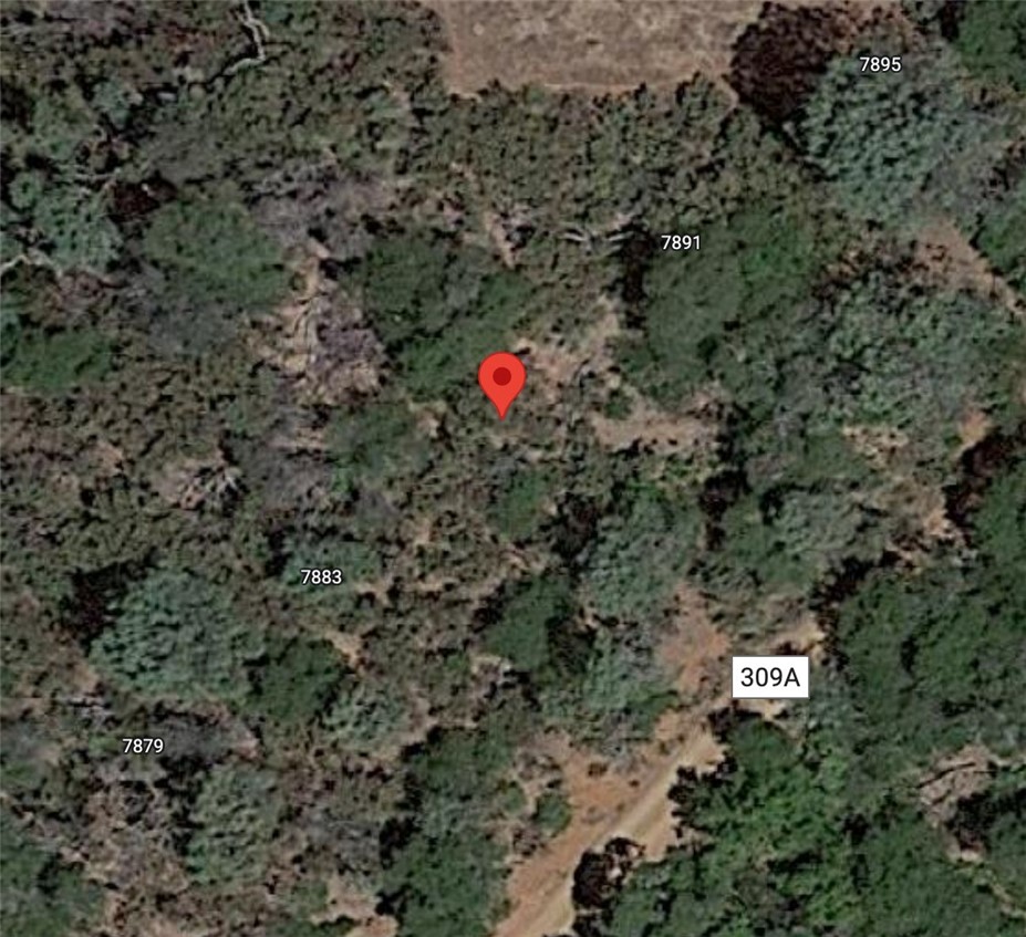 7887 Hyde Property Photo 1