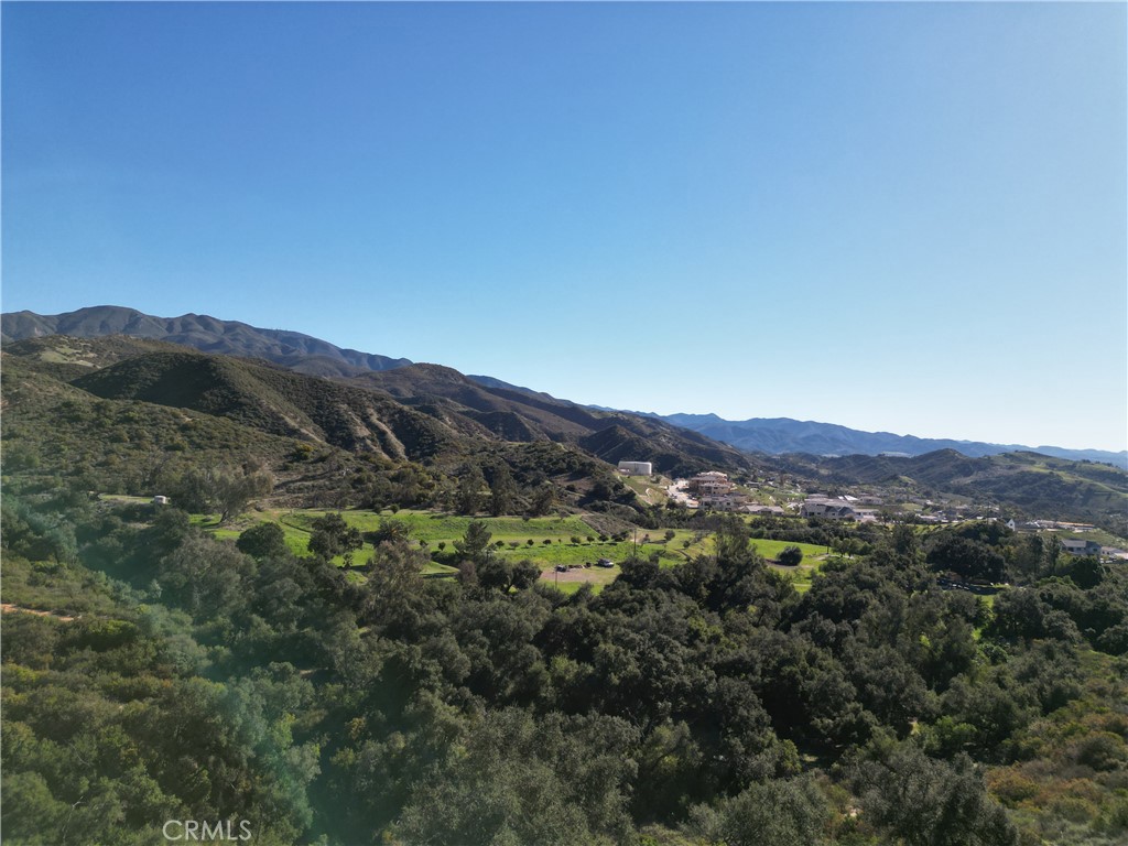 27802 Modjeska Grade Road Property Photo 3