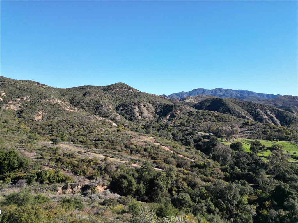 27802 Modjeska Grade Road Property Photo 4