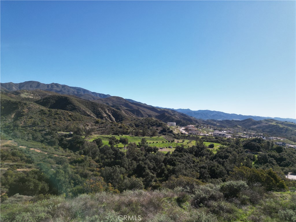 27802 Modjeska Grade Road Property Photo 7