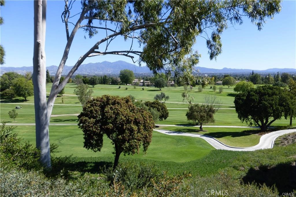 3249 San Amadeo O Property Photo 40